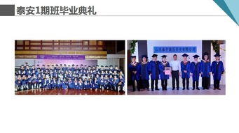 共享單車浮沉啟示錄 企業(yè)運(yùn)營如何借鑒藝術(shù)策展思維